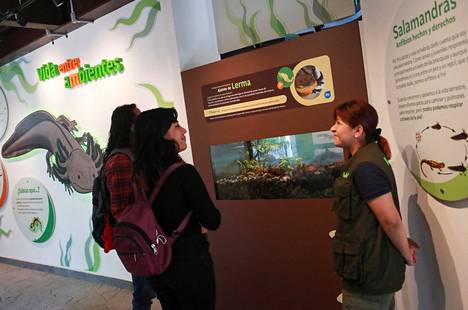 People toured the new museum center at the Chapultepec Zoo in Mexico City on January 25.