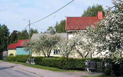 Pirkkolassa maisema-arkkitehti Elisabeth Koch ohjasi istuttamaan kadun laitaan pensasaitoja.