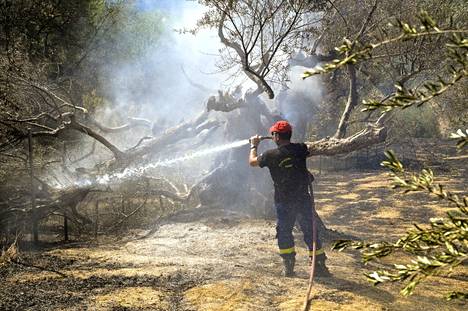 Palomiehet sammuttivat metsäpaloa sunnuntaina Zirian kylän lähellä Kreikassa.