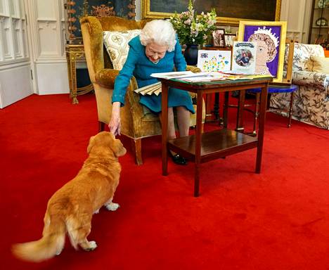 Kuningatar Elisabet II ja Candy-koira alkuvuonna 2022.