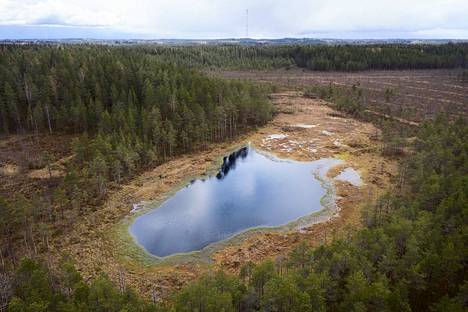 Uudessa luonnonsuojelulaissa kokonaiset luontotyypit, esimerkiksi suoalueet, ovat saamassa aiempaa vahvemman suojan. Suomen suoluontotyypeistä yli puolet on uhanalaisia. 