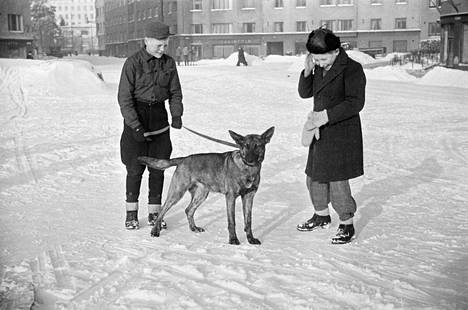 Lapset ulkoiluttivat koiraa Messeniuksenkadulla Töölössä vuonna 1946.