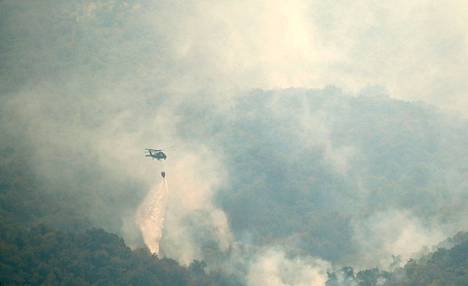 A helicopter dropped water on a smoking forest in western Slovenia near the village of Rence on July 23.