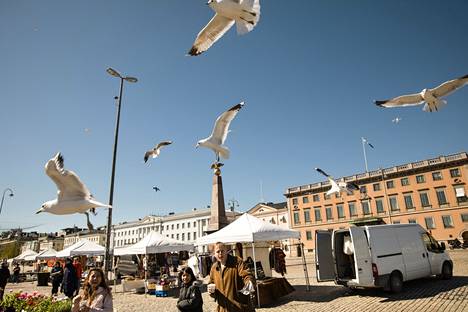 Selja Mäkisen mukaan monella Helsinkiin ensi kertaa saapuvalla turistilla ei ole vahvoja mielikuvia kaupungista ennakkoon. Kuvassa Helsingin Kauppatori.