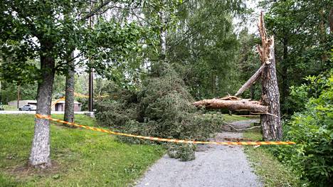 Sää | Vieno-myrsky on rauhoittunut Suomen yllä – Pahimmillaan yli 60 000 taloutta oli ilman sähköjä