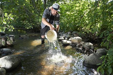 Vaelluskala-aktiivi Henrik Kettunen huoltaa soraikkoa kaatamalla siihen vettä ämpärillä.