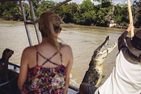 Turistit seurasivat krokotiilin hyppyjä veneretkellä Adelaide-joella Australiassa.