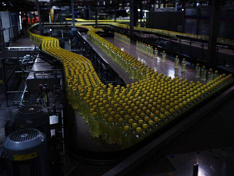 Keltakorkkisia juomapulloja kuljetushihnalla Olvin Iisalmen tehtaalla kesäkuussa vuonna 2020.

