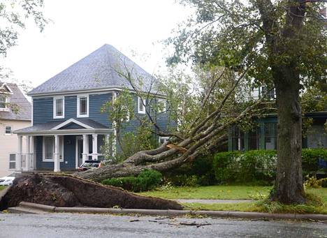 Talon päälle kaatunut puu Sydneyn alueella Nova Scotiassa lauantaina. 