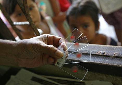 Malariaa varten otettuja verinäytteitä Thaimaassa vuonna 2012.