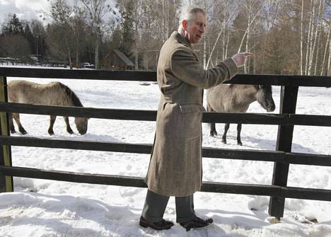 Prinssi Charles vieraili hevostilalla itäisessä Puolassa Białowieżassa vuonna 2010.