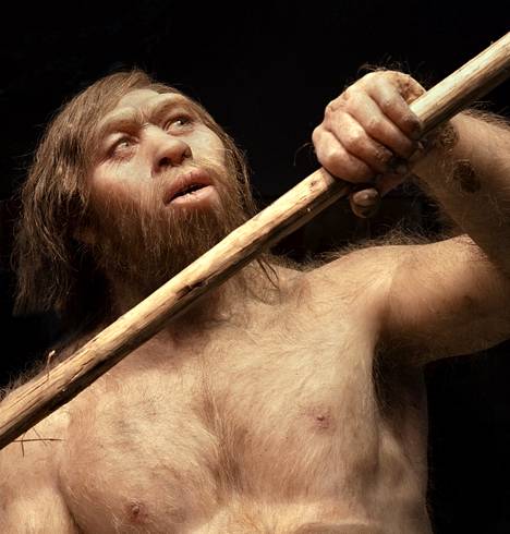 Homo erectus näytti ehkä tällaiselta. Heidän jäänteitään on löydetty eri puolilta maapalloa. Se osoittaa pystyihmisen menestyneen laajasti. Pystyihmisen malli on  Cosmocaixa -tiedemuseossa Barcelonassa Espanjassa.
