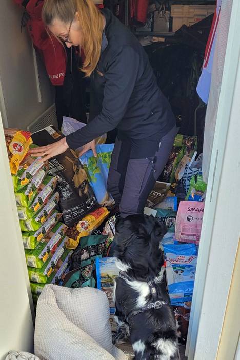Vantaalaisen Mari Harjun varastossa on jo paljon koiran ja kissan ruokaa, jota on tarkoitus viedä Ukrainaan. Harjun koira seuraa tarkasti lajittelua.