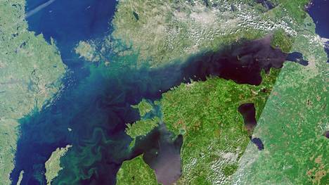 Itämeren pääaltaan alueella sinilevä on kertynyt Gotlannin itäpuolelle. Siellä levää on jo voimakkaasti pinnassa. Suomea ympäröivillä merialueilla on kuluneen viikon satelliittikuvissa havaittu osin pinnanalaisia ja osin jo pinnanpäällisiä leväesiintymiä erityisesti Saaristomerellä ja Ahvenanmaalla sekä Suomenlahden länsiosissa erityisesti avomerellä.