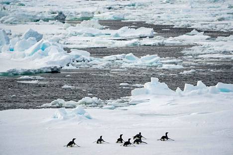 Jäätä Etelämantereella tammikuun alussa.