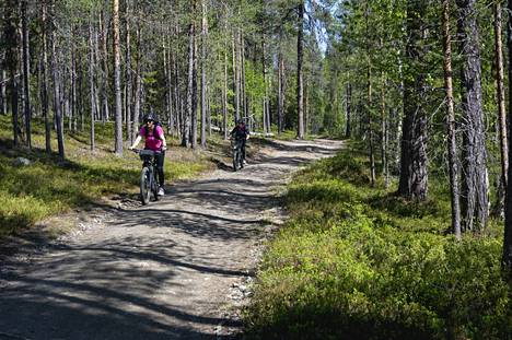 In Metsähallitus' survey, one of the most problematic places in Pallas-Yllästunturi was considered to be the route descending from Kukastunturi, which largely follows the track bottom.  Cyclists descending from Kukastunturi in mid-June.