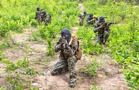 Ukrainan aluepuolustusjoukkojen jäsenet harjoittelivat kesäkuussa lähellä Kiovaa Butšassa. Harjoituksen ei tiedetä liittyvän Mozart-ryhmään.