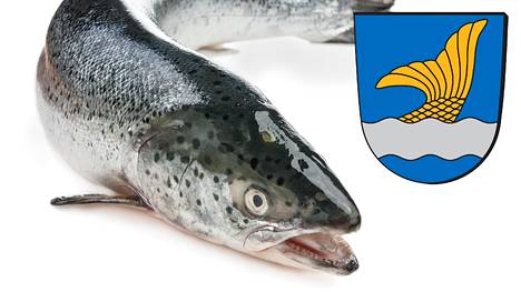 Vantaan vaakuna kuvastaa Vantaanjokea ja sen kalakantaa. Vantaan omaan menuun on siis tulossa näillä näkymin lohta.