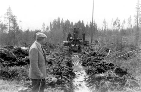 EU:ssa tehtiin esitys, joka sai suomalaispoliitikot kiihtymään: Pitäisikö Suomen  metsät palauttaa 1950-luvulle? - Sunnuntai 