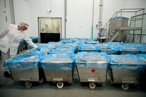 Kananugettimassaa muovilla peitettynä kylmässä HK Scanin Mikkelin tehtaalla vuonna 2019.