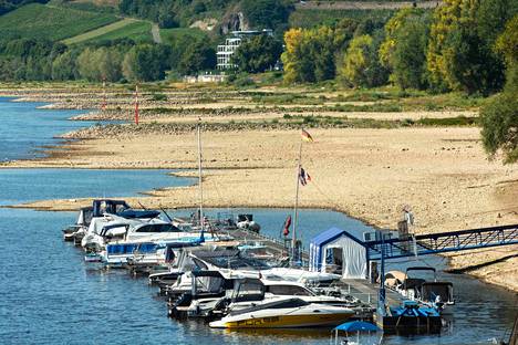 Rein-joen kuivuminen näkyi vetäytyneenä rantaviivana Bad Honnefissa, Saksassa 9. elokuuta.