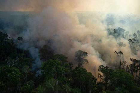 Tutkijat arvioivat, että metsäkadon aiheuttamat päästöt viime vuosina ovat aiemmin arvioitua pienemmät. Laittomasti sytytetty metsäpalo kuvattuna Amazonian alueella Brasiliassa syyskuussa.