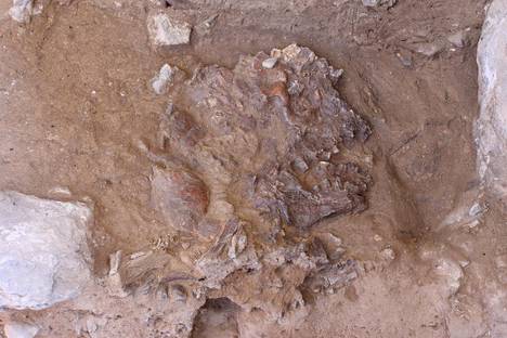 Surivatko neandertalinihmiset kuolleitaan? Irakista löytyi viitteitä muinaisten serkkujemme koskettavista hautausrituaaleista