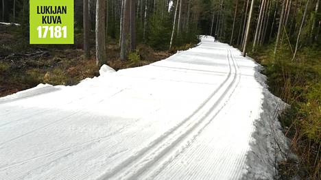15 astetta lämmintä, mutta Helsingissä hiihdetään täyttä päätä – ”Latu oli rikollisen hyvässä kunnossa”, kehuu 15 kilometriä torstaina hiihtänyt Juhani Styrman
