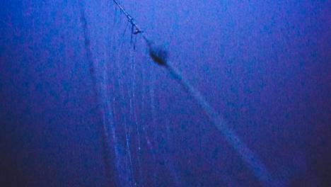 Härskiä salakalastusta Vantaalla: Keravanjoen poikki viritettiin verkot rannalta rannalle, joki on uhanalaisten meritaimenien reitti