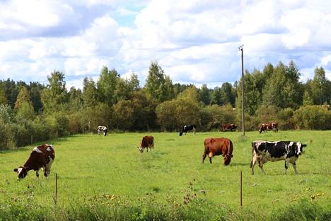 Selvä enemmistö suomalaisista on valmis ohjaamaan verorahoja tukemaan maaseutuelämää.