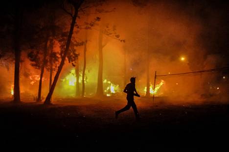 Metsäpalo loimuaa Kenian Nairobissa. Luonnonpalojen lisäksi on runsaasti ihmisen aiheuttamia.
