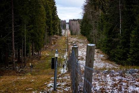 Itärajan pilottiaita nousee tänä keväänä Imatralle. Metsässä kulkee nyt matala vanha aita, uusi aita on yli kolme metriä korkea. 