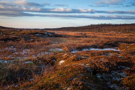 Kaldoaivi on Suomen laajin erämaa-alue. Kuvassa erämaan palsasuoaluetta.