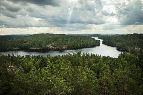 Repoveden ja muun Suomen metsät sitovat vuosittain suuren osan maan kasvihuonekaasupäästöistä.