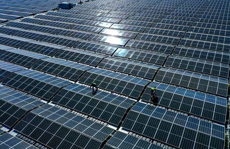 Työntekijät asentavat aurinkopaneeleja Silbersee-järvelle tehdyssä aurinkovoimalassa Halternissa Saksassa.