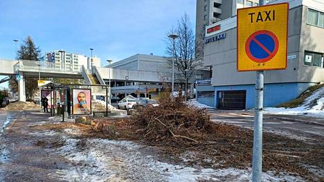 HS Espoo | Harmaan betoniostarin kupeesta kaadettiin kuusia Espoossa – ”Minusta tämä on kummallista”, huokaa puita puoli vuosisataa katsellut naapuri