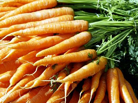 Porkkana on jossain määrin aliarvostettu vihannes, ravitsemusterapeutti Reijo Laatikainen pohtii. Todellisuudessa se on oiva tapa hankkia terveydelle hyödyllisiä karotenoideja. 