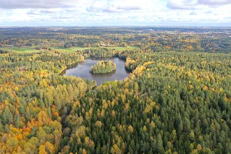 Kymmenen hehtaarin suuruinen Dämmanin tekojärvi Espoon Gumbölessä tehtiin 1950-luvulla.