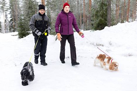 Irma and Mikko Maattola own a cottage near the eastern border.  The news about asylum seekers crossing the border via terrain does not worry them.