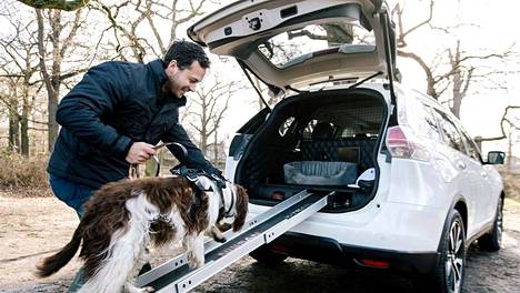 Nissanin koira-autoon rakennettu luiska helpottaa eläinten kulkemista.