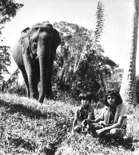 Elefanttipoika, Tv 1:n uusi nuorten sarjafilmi perustuu Rudyard Kiplingin kertomukseen Norsunlapsi, joka ilmestyi suomeksi vuonna 1954. Sarja kertoo Toomai-nimisestä intialaispojasta, hänen veljestään Ranjitista sekä norsusta nimeltä Kala Nag. Sarja on kuvattu Ceylonilla. Se nähdään värillisenä puolen tunnin jaksoissa maanantaisin. Ensimmäisen jakson nimi on Uusi riistanvartija.