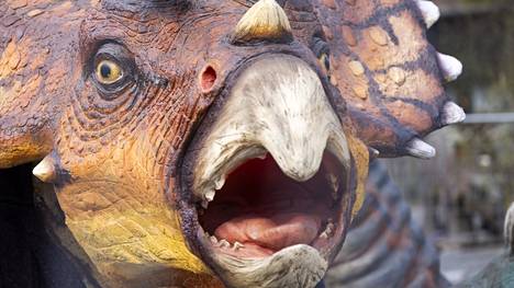 Triceratops tuotiin Korkeasaareen näytille.