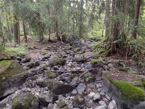 The side bed of Langinkoski dried up completely when the waters were discharged into the other branch of Kymijoki.