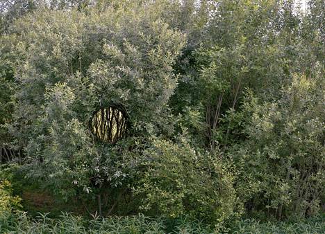 Antti Laitinen: Broken Landscape VII, 2019, valokuva.