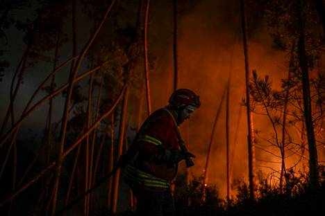 Palomies sammuttaa metsäpaloa Alvaiázeren kunnan lähettyvillä Portugalissa 10. heinäkuuta.