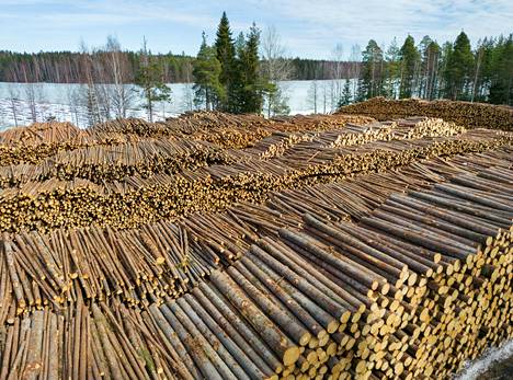 Puun tuonti Venäjältä päättyi hyökkäyssodan alkamisen jälkeen. Kuvassa havupuuvarasto Möhköskosken pudotuspaikalla Leppävirralla.