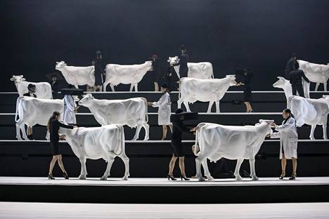 Alexander Ekmanin koreografiassa ihminen yrittää ymmärtää lehmää ja lehmä ihmistä.
