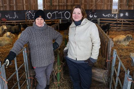 Lampuri Kirsi Vertainen (left) and fresh wool entrepreneur Hanna Niskanen in the cold lamp shop of Paavila sheep farm.  They are happy that the value of Finnish sheep's wool has increased.