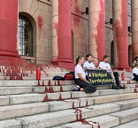 Demonstrators in front of the parliament building on Wednesday morning.