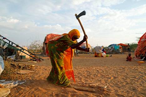 Tyttö halkoi puita kuivuuden koettelemalla alueella Somaliassa vuonna 2017.